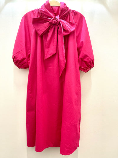 Caryn Lawn Ryan Dress in Pink