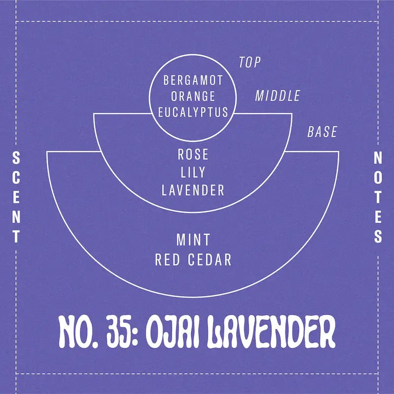 P.F. Candle Co. - Ojai Lavender - 7.2 oz Standard Soy Candle