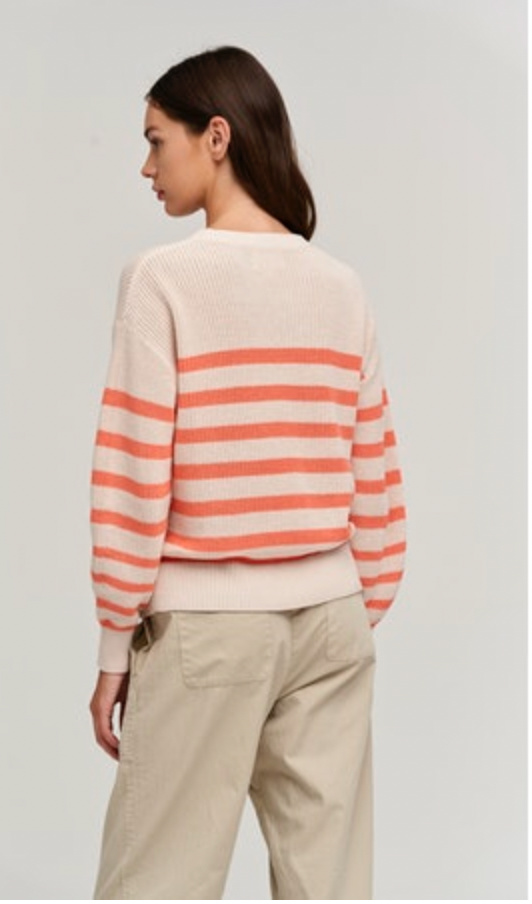Velvet Wren Textured Cotton Sweater in Ecru/Coral